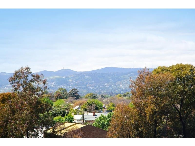 100 Rose Terrace, Wayville SA 5034