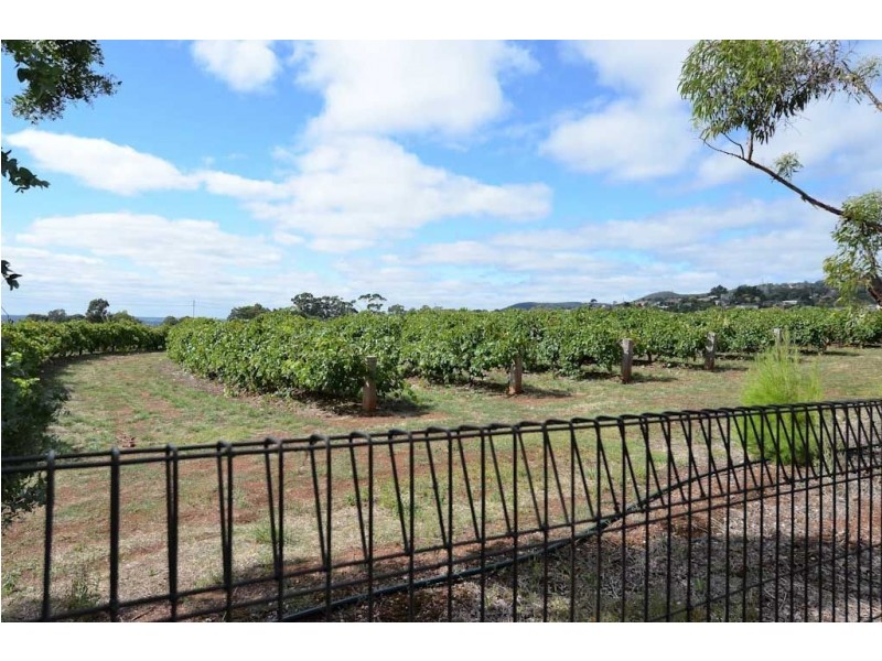 6 Gillard Drive, Rosslyn Park SA 5072