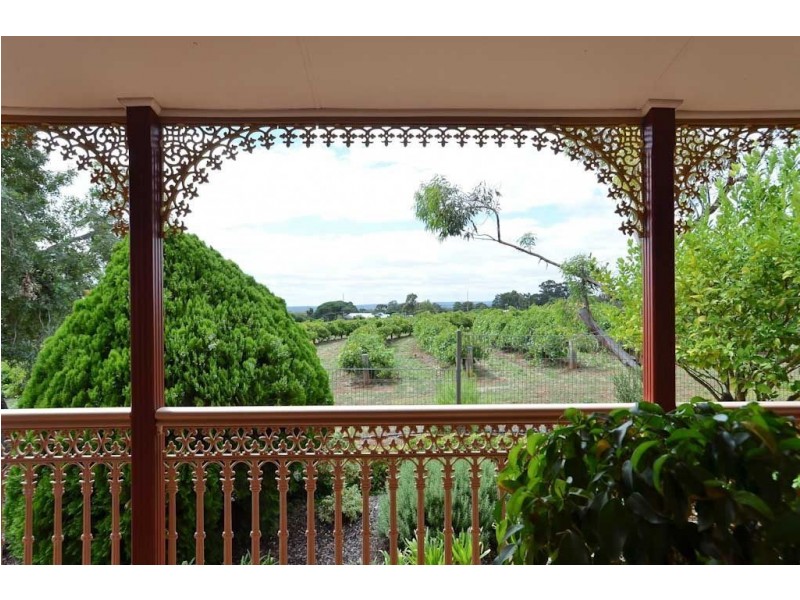 6 Gillard Drive, Rosslyn Park SA 5072