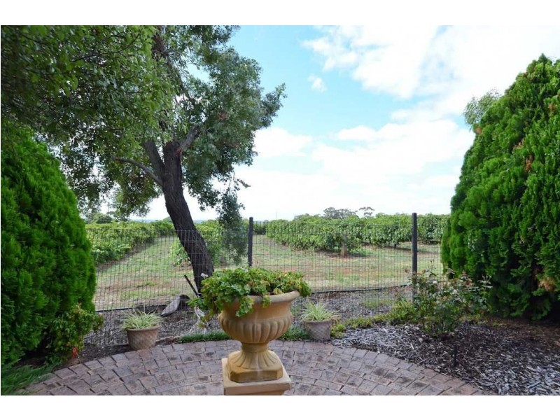 6 Gillard Drive, Rosslyn Park SA 5072