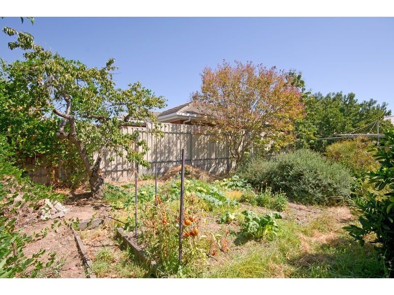 20 Ryan Avenue, Firle SA 5070