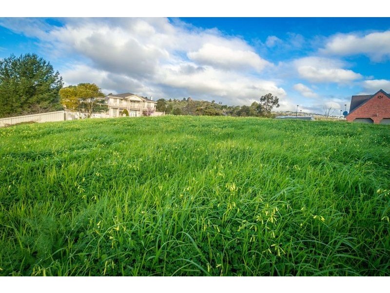 3 Shiraz Place, Auldana SA 5072