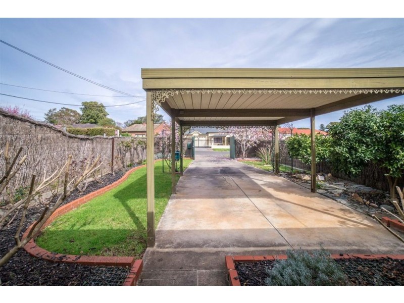 19a Austral Avenue, Linden Park SA 5065