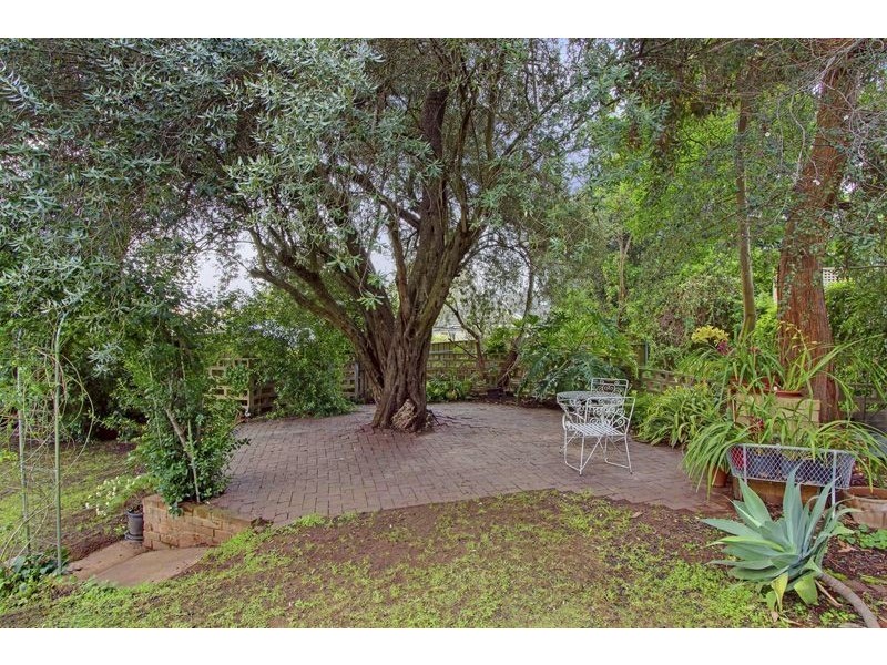 13 Fifeshire Avenue, St Georges SA 5064