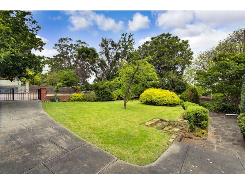20 Montrose Avenue, Netherby SA 5062