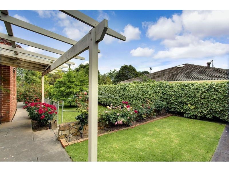 20 Montrose Avenue, Netherby SA 5062