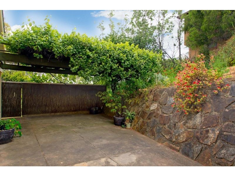 6 Darrell Avenue, Wattle Park SA 5066