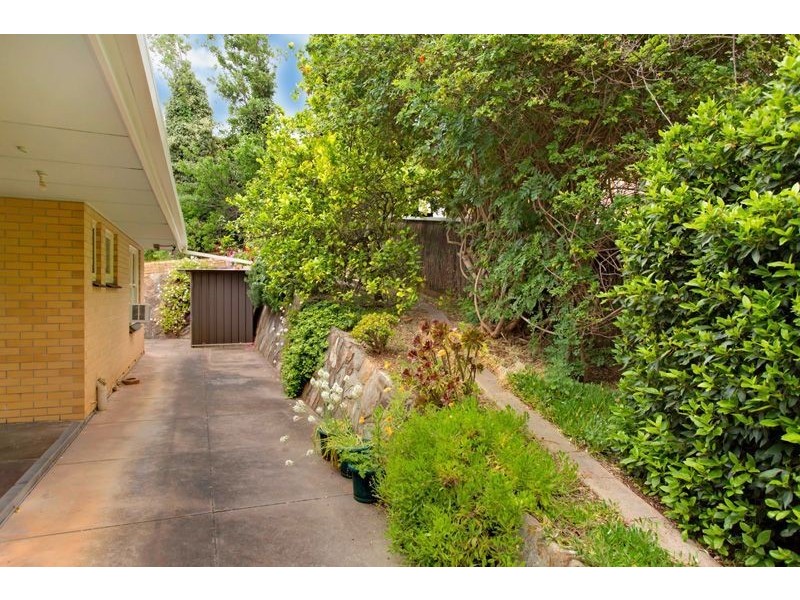 6 Darrell Avenue, Wattle Park SA 5066