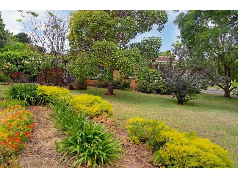 6 Darrell Avenue, Wattle Park SA 5066