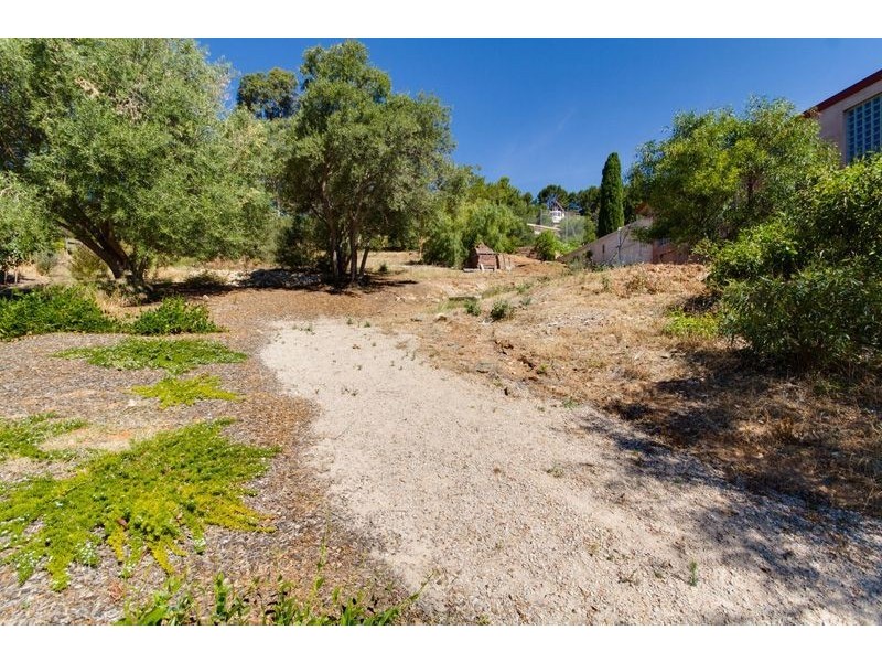 20 Blyth Street, Glen Osmond SA 5064