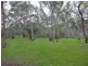 51 Eighth Avenue, St Peters SA 5069