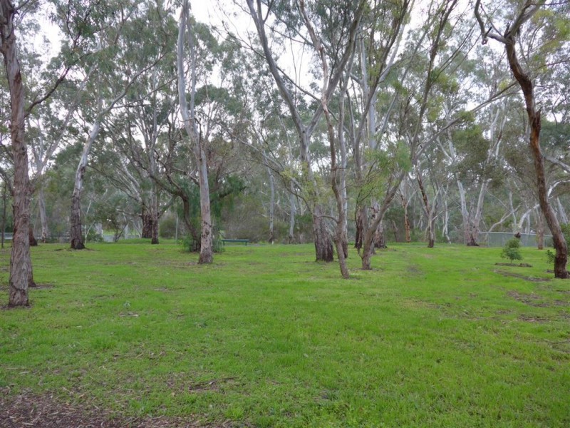 51 Eighth Avenue, St Peters SA 5069