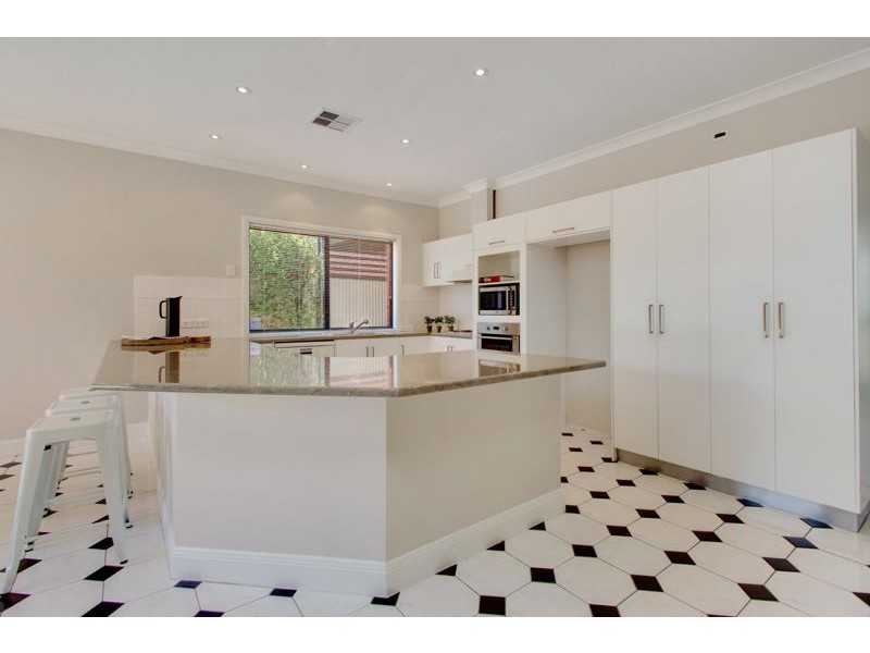 38 Wallis Street, Parkside SA 5063