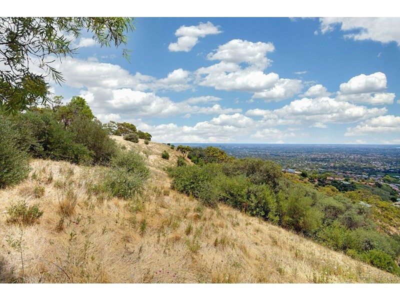 16 McBeath Drive, Skye SA 5072