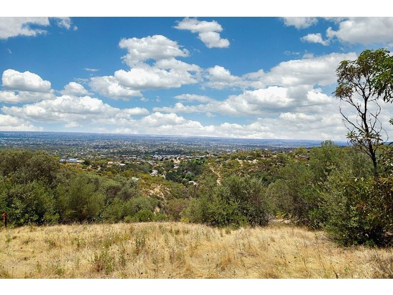 16 McBeath Drive, Skye SA 5072