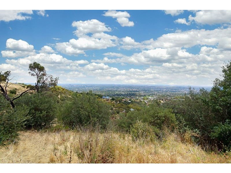 16 McBeath Drive, Skye SA 5072