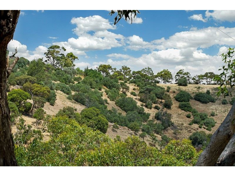 16 McBeath Drive, Skye SA 5072