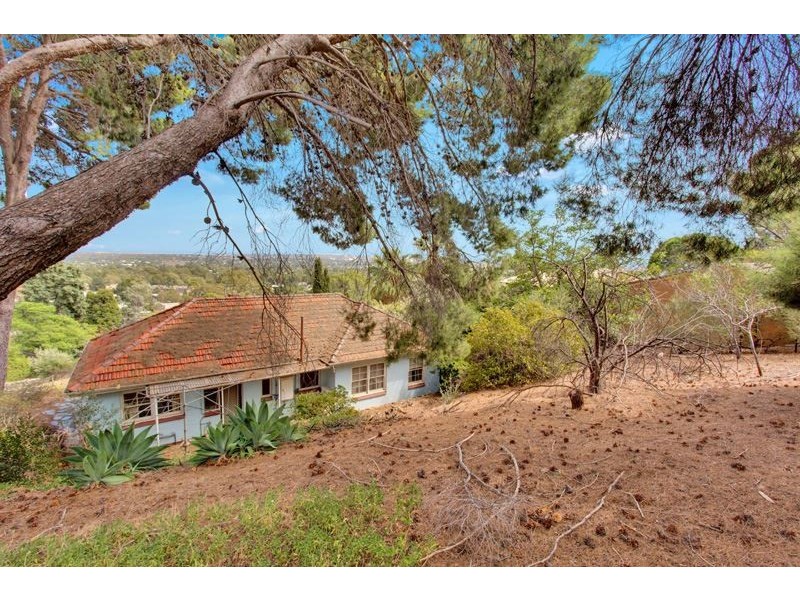 14 Everard Street, Glen Osmond SA 5064