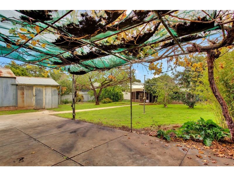 47 Aveland Avenue, Trinity Gardens SA 5068