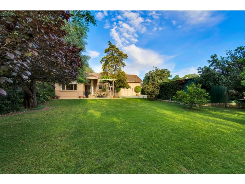 13 Peroomba Avenue, Kensington Gardens SA 5068