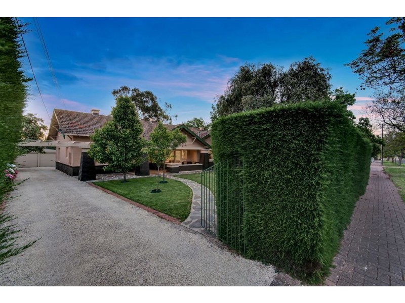 13 Peroomba Avenue, Kensington Gardens SA 5068