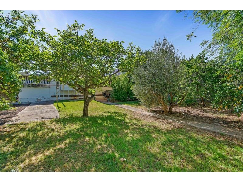 8 Burnham Avenue, Myrtle Bank SA 5064