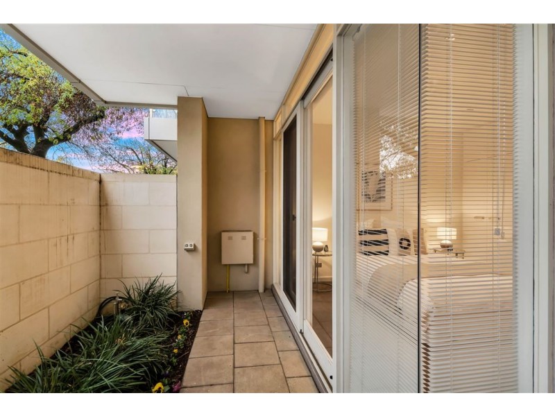 223 Halifax Street, Adelaide SA 5000