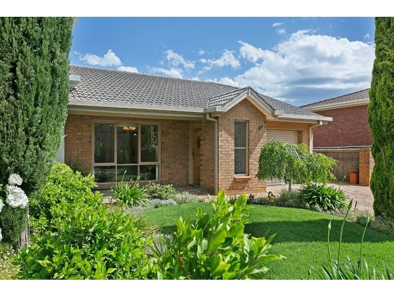 568 The Parade, Rosslyn Park SA 5072