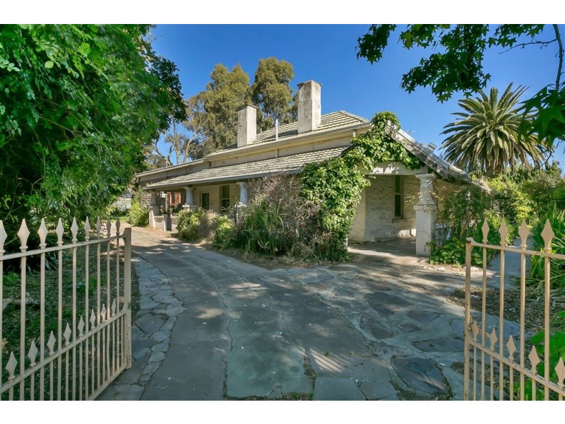 6 Hackett Terrace, Marryatville SA 5068