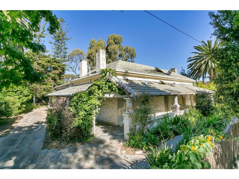 6 Hackett Terrace, Marryatville SA 5068