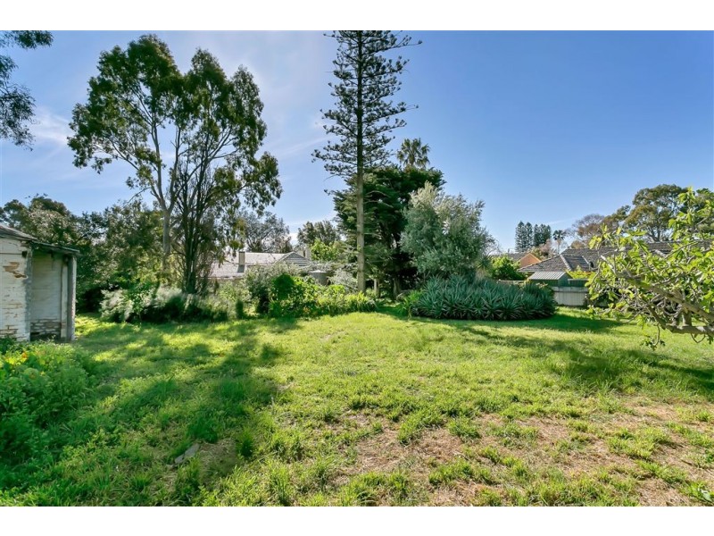 6 Hackett Terrace, Marryatville SA 5068