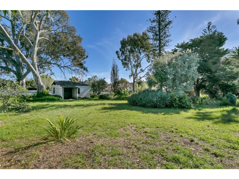 6 Hackett Terrace, Marryatville SA 5068