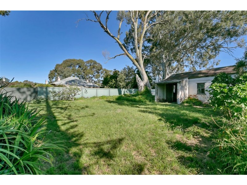 6 Hackett Terrace, Marryatville SA 5068