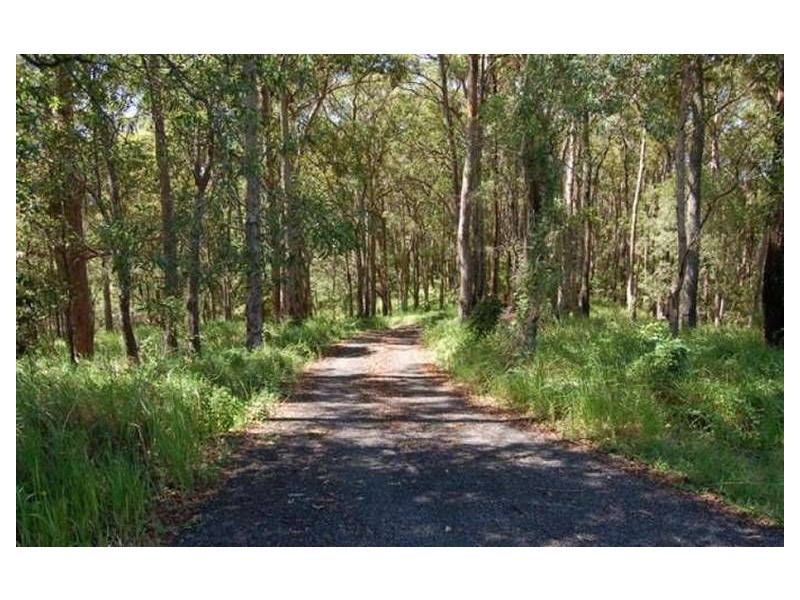 242 Verrierdale Road, Verrierdale QLD 4562