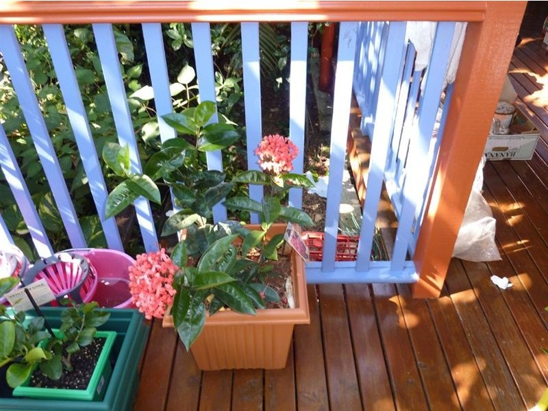 10 River Vista Court, Maroochy River QLD 4561