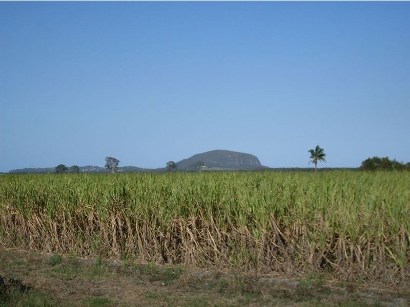 67 Burtons Road, Maroochy River QLD 4561