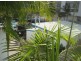 3/917 David Low Way, Marcoola QLD 4564