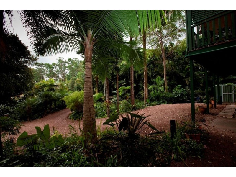 18 Brookfield Court, Diddillibah QLD 4559