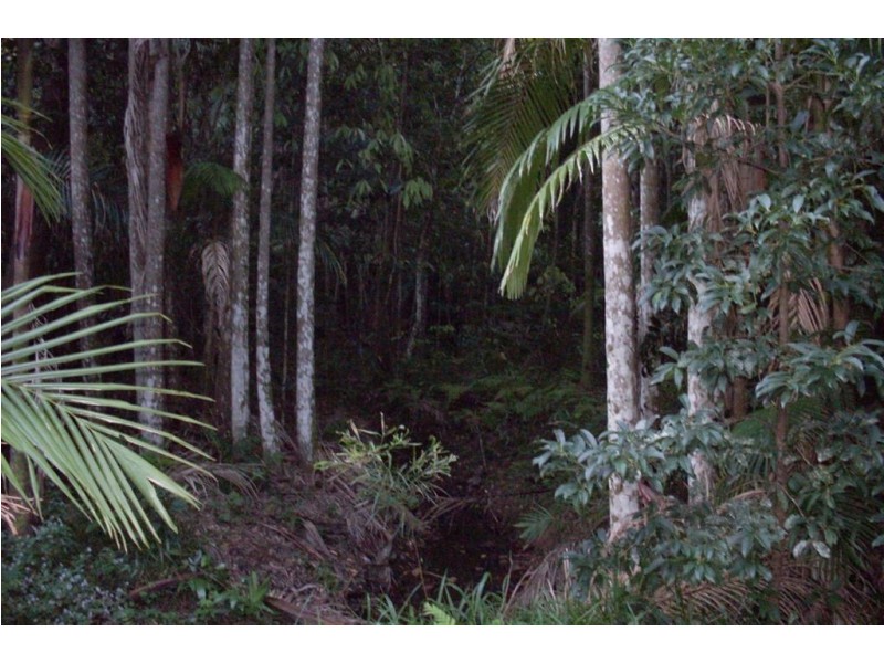 212 MCCORDS RD, Yandina Creek QLD 4561