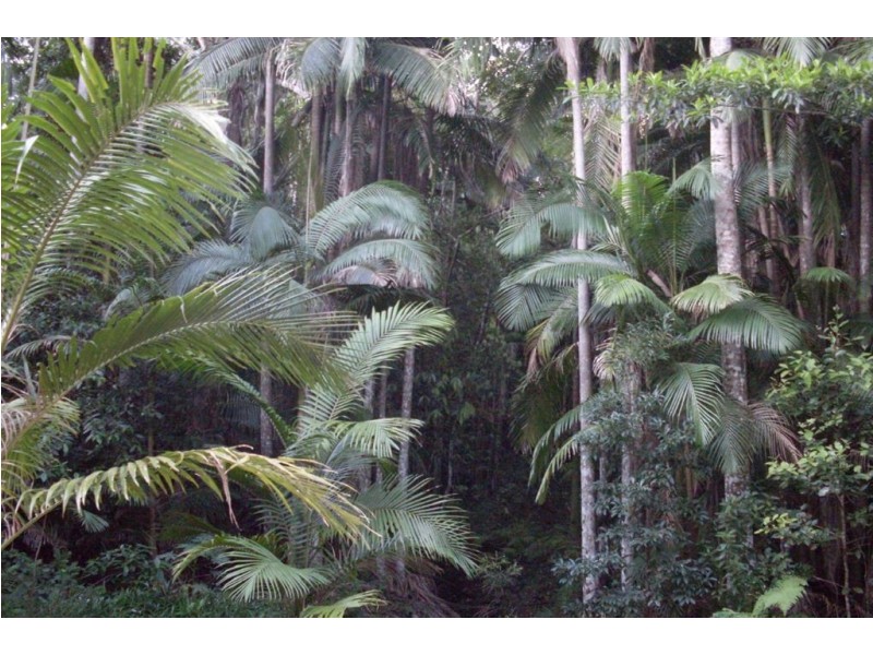 212 MCCORDS RD, Yandina Creek QLD 4561