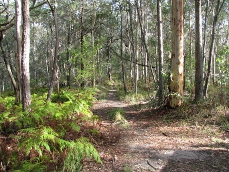 212 MCCORDS RD, Yandina Creek QLD 4561