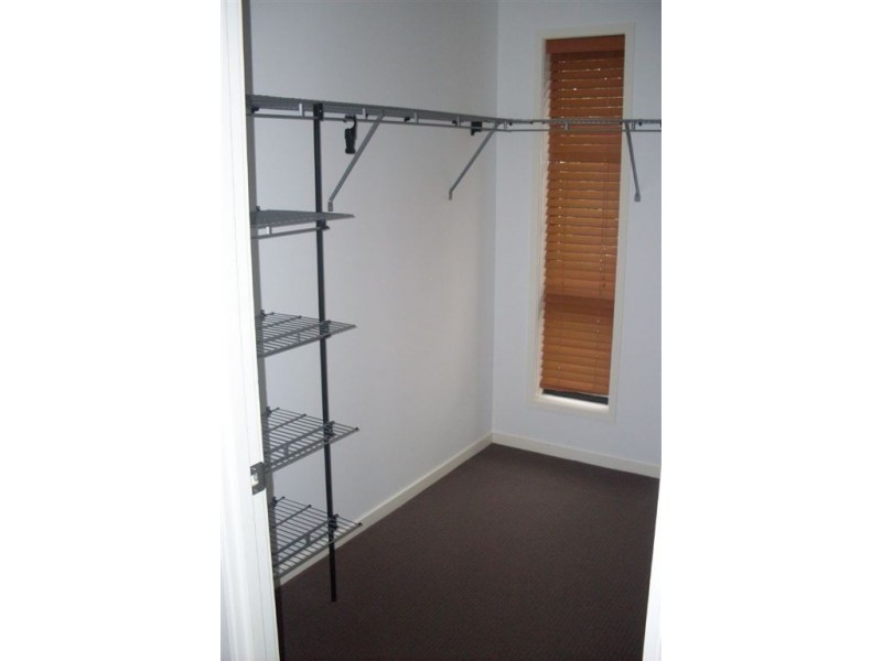 20 Riviera Crescent, Peregian Springs QLD 4573