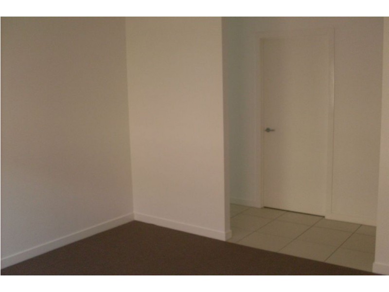 179 The Avenue, Peregian Springs QLD 4573
