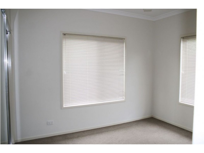 117 The Avenue, Peregian Springs QLD 4573