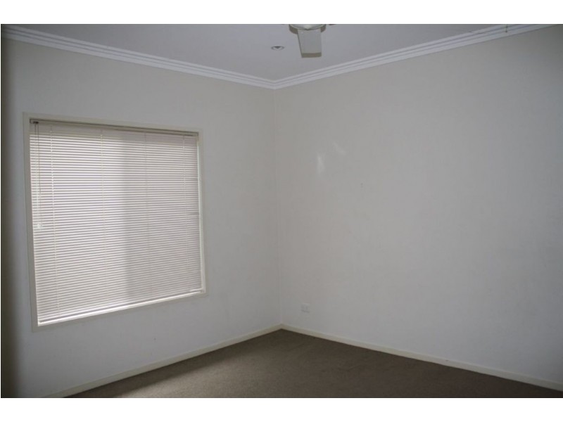 117 The Avenue, Peregian Springs QLD 4573