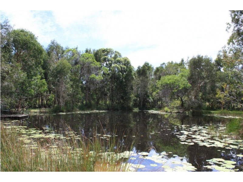 40 Murdering Creek Road, Peregian Beach QLD 4573