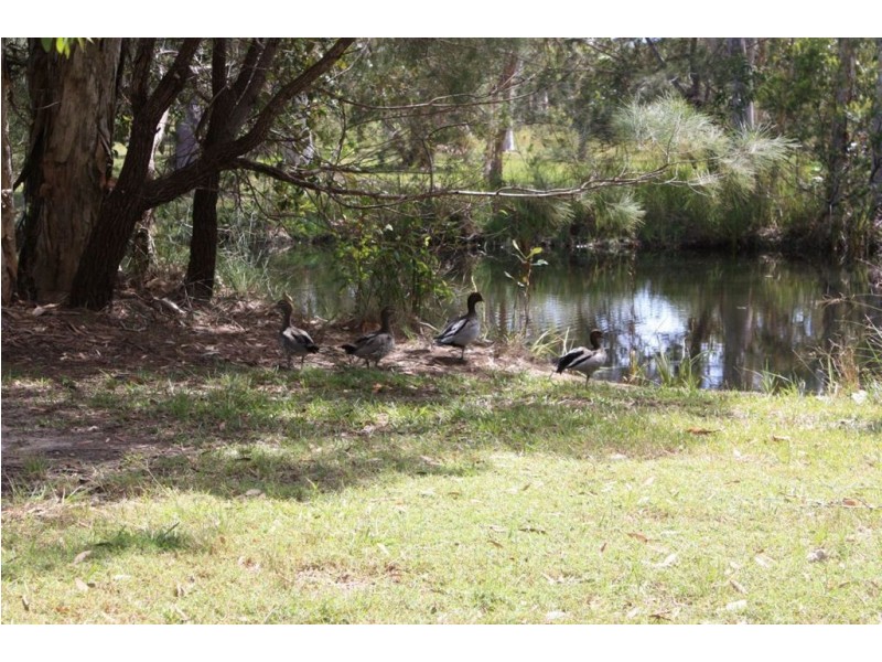 40 Murdering Creek Road, Peregian Beach QLD 4573