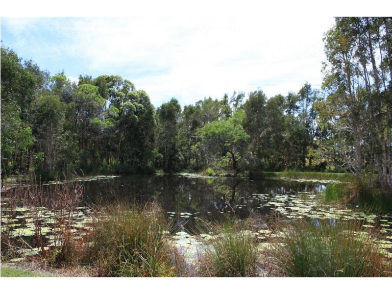 40 Murdering Creek Road, Peregian Beach QLD 4573