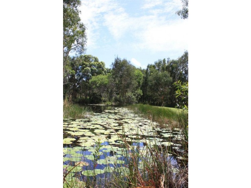 40 Murdering Creek Road, Peregian Beach QLD 4573