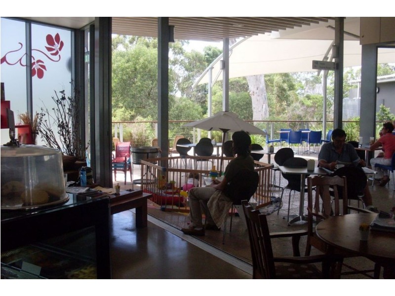 11/1 RIDGEVIEW DRIVE, Peregian Springs QLD 4573